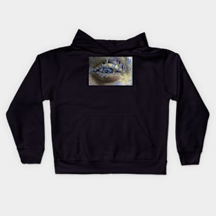 Squinting Eye of Storm Kids Hoodie